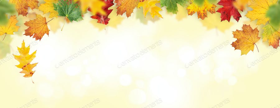 عکس بک گراند برگ های زرد پاییزی
