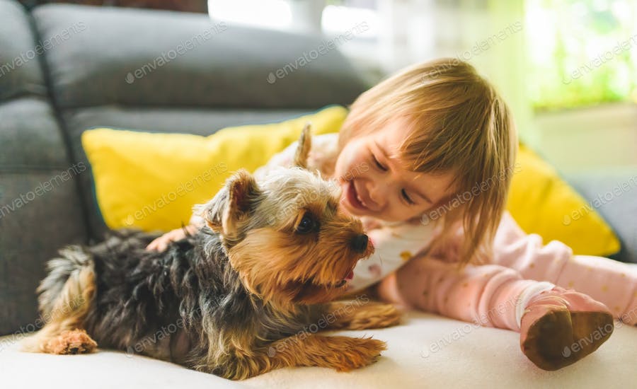 عکس کودک در حال بازی با سگ
