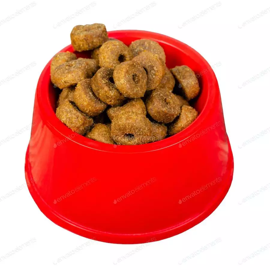 عکس غذای گربه