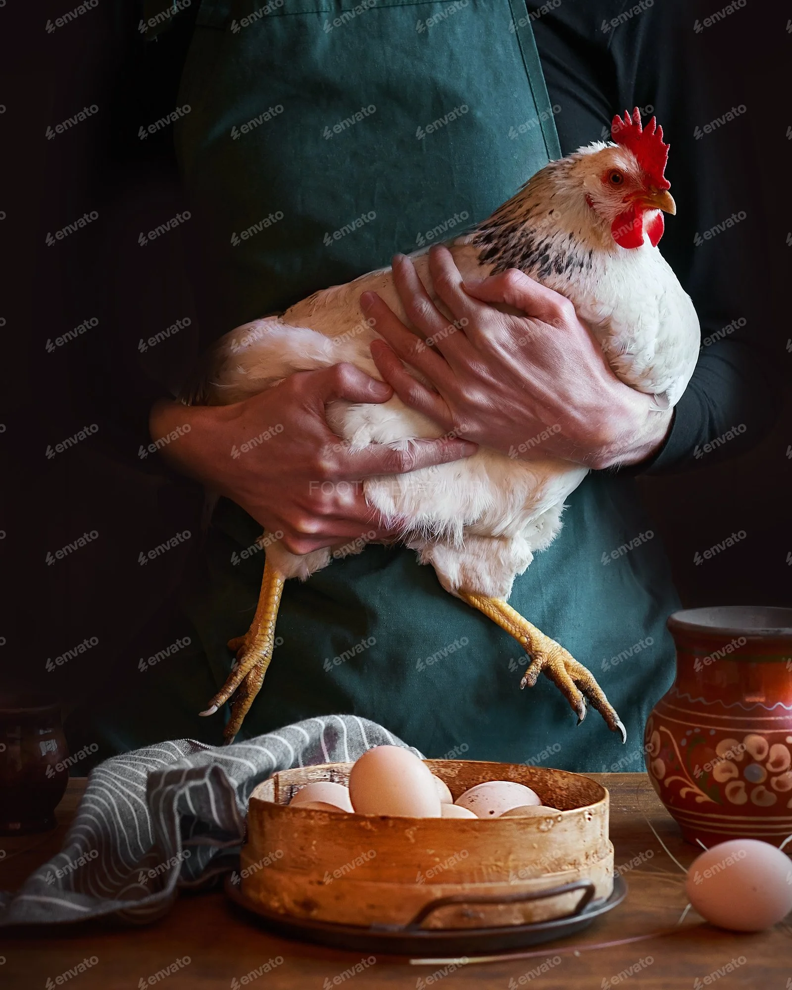 عکس مرغ و سبدی از تخم مرغ